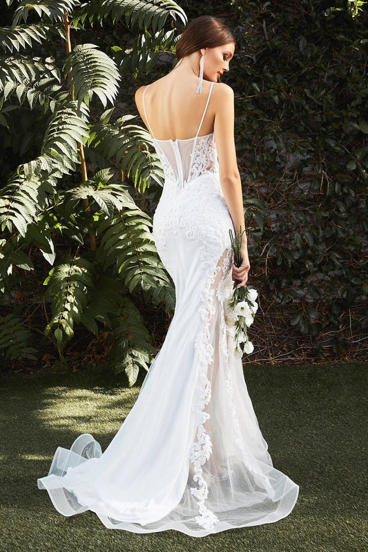 Mermaid Illusion Lace Bridal Gown - CD937W