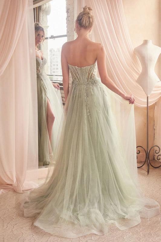 Strapless Tulle Corset Sheer Prom Ball Gown - Ladivine CD0230