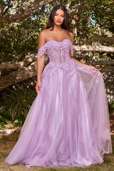 APPLIQUE OFF SHOULDER TULLE GOWN BY LADIVINE CD0198