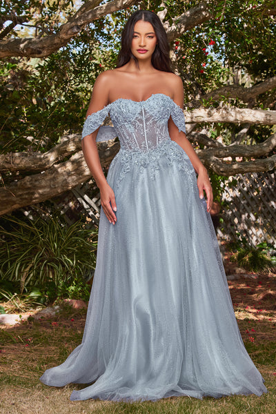 APPLIQUE OFF SHOULDER TULLE GOWN BY LADIVINE CD0198