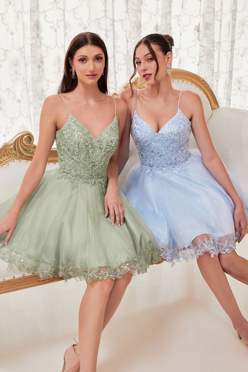 Lace Applique Short Homecoming Dress -  Ladivine CD0213