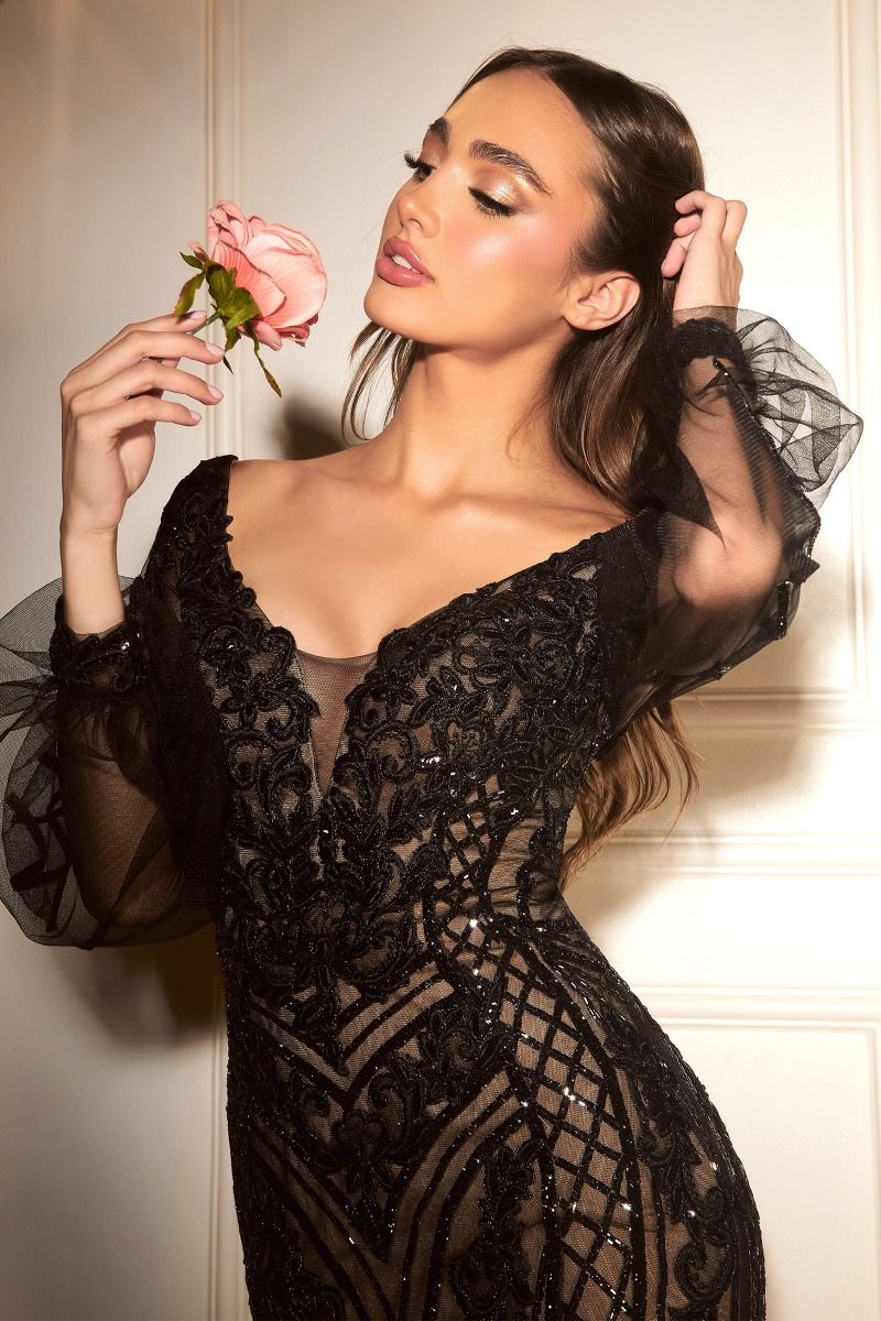 Beaded Illusion Long Sleeve Mermaid Prom Gown - Ladivine CD864