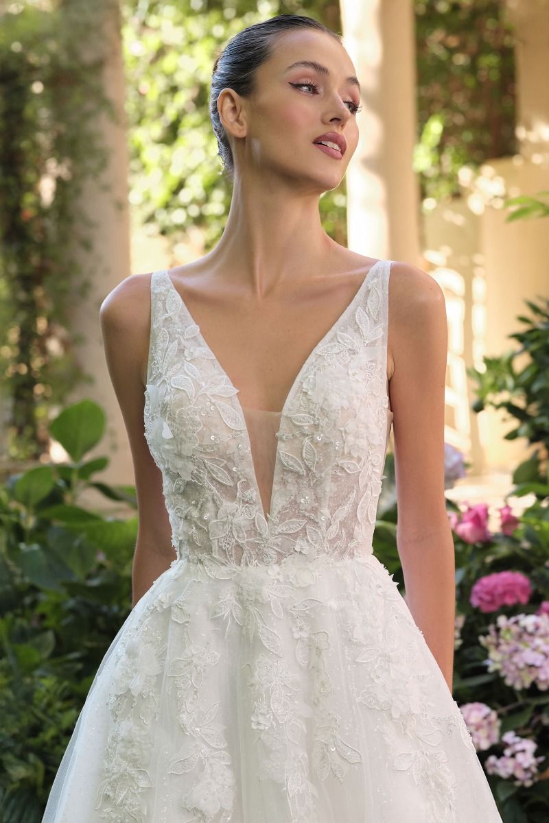 Applique V-Neck Bridal Gown by Ladivine WL064