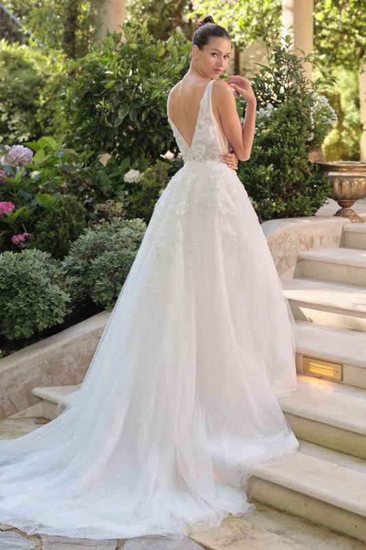 V-Neck Lace Applique Wedding Gown - Ladivine WL064